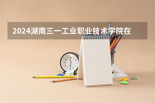 2024湖南三一工业职业技术学院在广东招生计划