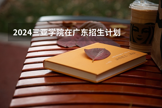 2024三亚学院在广东招生计划