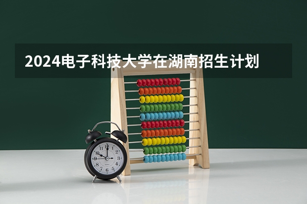 2024电子科技大学在湖南招生计划