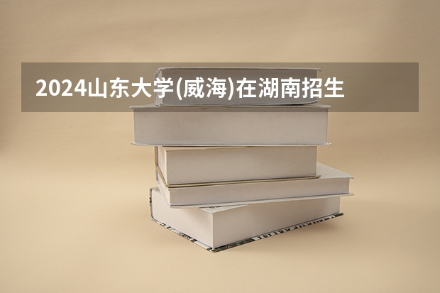2024山东大学(威海)在湖南招生计划