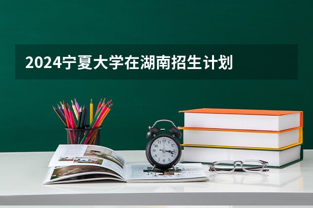 2024宁夏大学在湖南招生计划