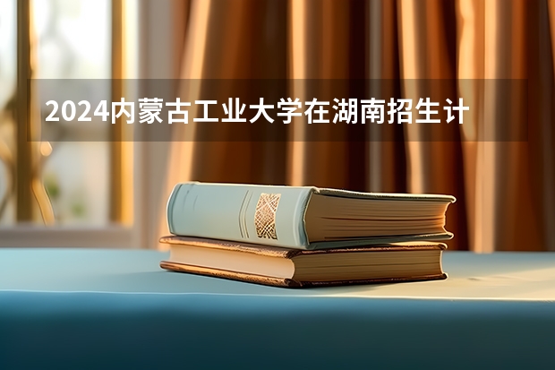 2024内蒙古工业大学在湖南招生计划