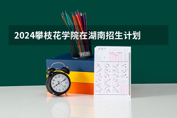 2024攀枝花学院在湖南招生计划