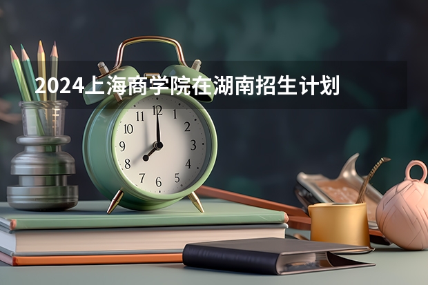 2024上海商学院在湖南招生计划
