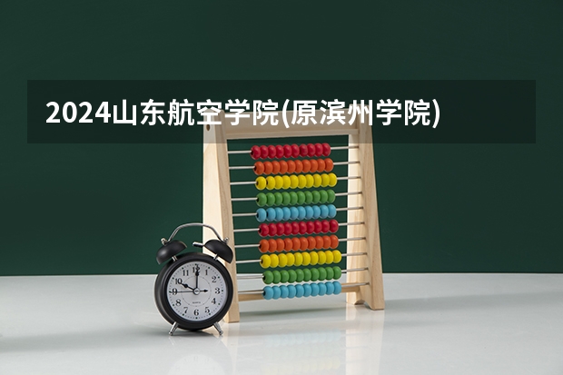 2024山东航空学院(原滨州学院)在黑龙江招生计划