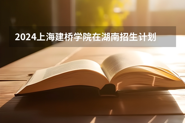 2024上海建桥学院在湖南招生计划
