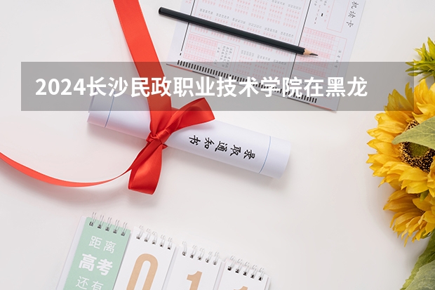 2024长沙民政职业技术学院在黑龙江招生计划
