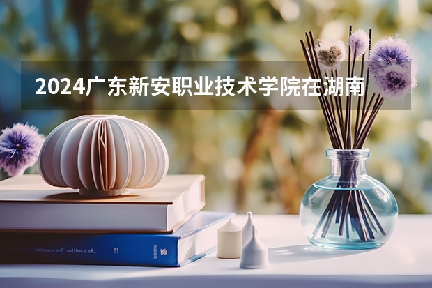 2024广东新安职业技术学院在湖南招生计划