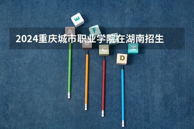 2024重庆城市职业学院在湖南招生计划