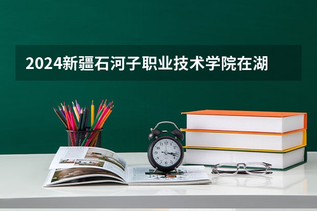 2024新疆石河子职业技术学院在湖南招生计划