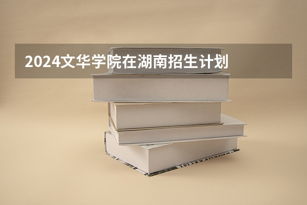 2024文华学院在湖南招生计划