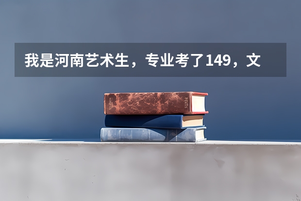 我是河南艺术生,专业考了149,文化考了204,请问我想上本科,差不多点的学校哪些有机会?