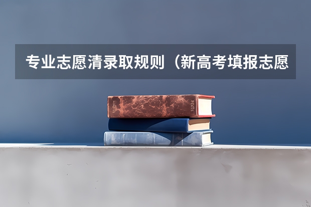 专业志愿清录取规则（新高考填报志愿规则）
