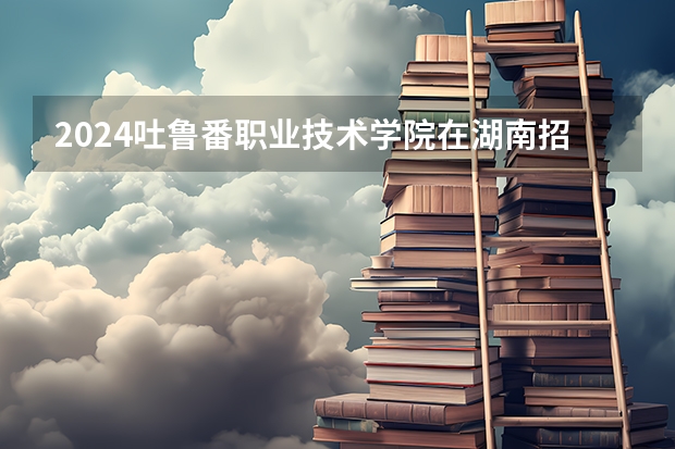 2024吐鲁番职业技术学院在湖南招生计划