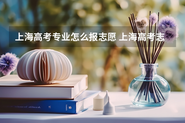 上海高考专业怎么报志愿 上海高考志愿录取顺序图解