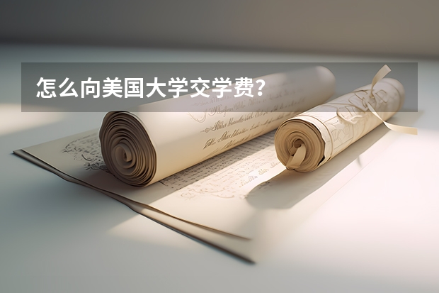怎么向美国大学交学费？