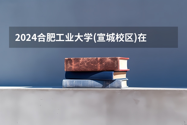 2024合肥工业大学(宣城校区)在宁夏招生计划