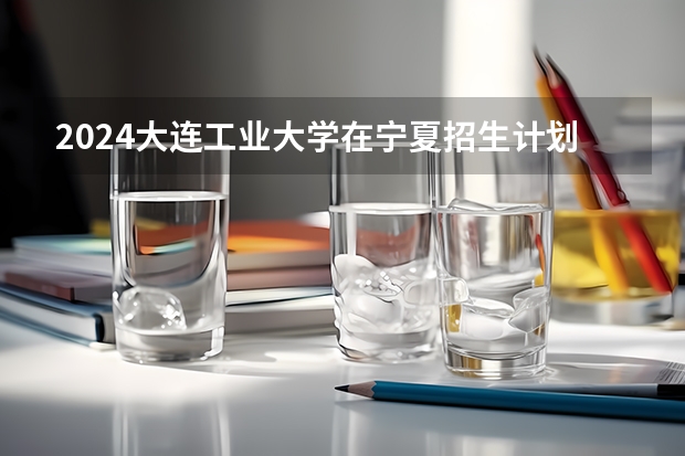 2024大连工业大学在宁夏招生计划