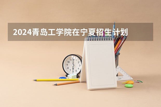 2024青岛工学院在宁夏招生计划