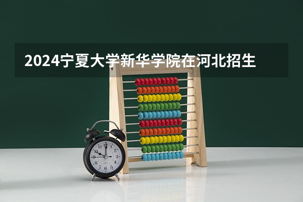 2024宁夏大学新华学院在河北招生计划