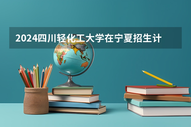 2024四川轻化工大学在宁夏招生计划