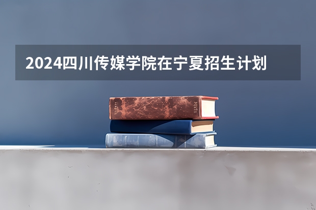 2024四川传媒学院在宁夏招生计划