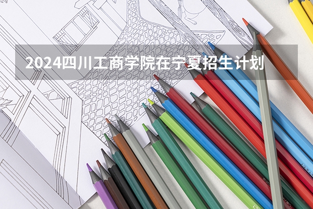2024四川工商学院在宁夏招生计划