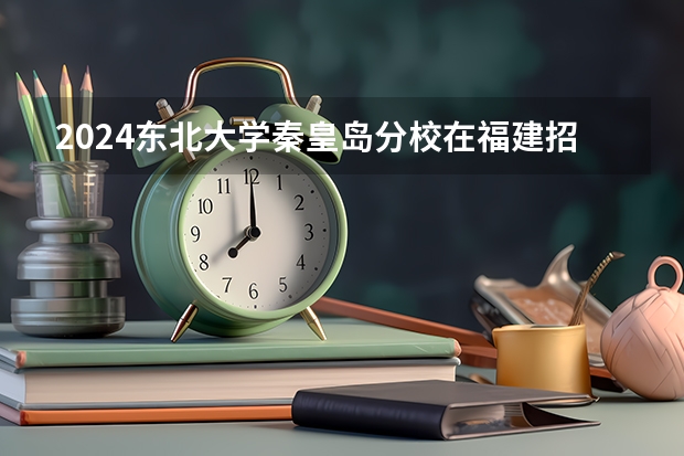 2024东北大学秦皇岛分校在福建招生计划