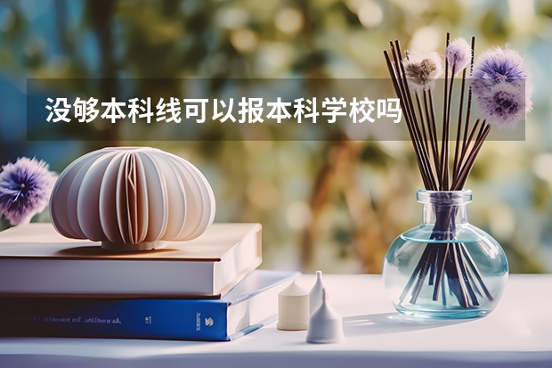 没够本科线可以报本科学校吗