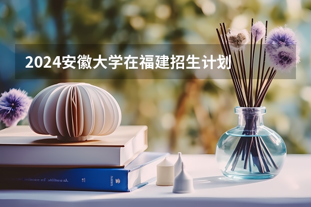 2024安徽大学在福建招生计划