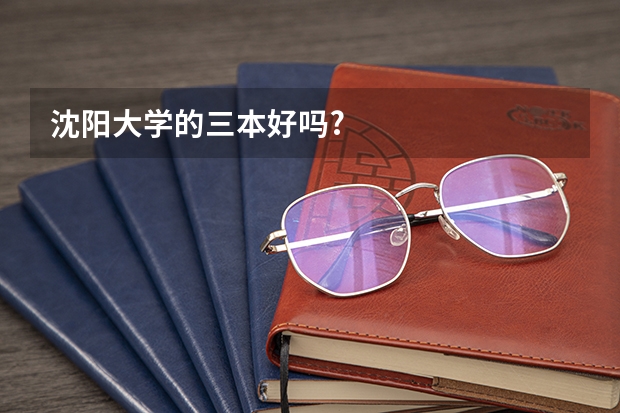 沈阳大学的三本好吗?