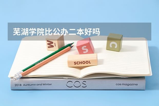 芜湖学院比公办二本好吗