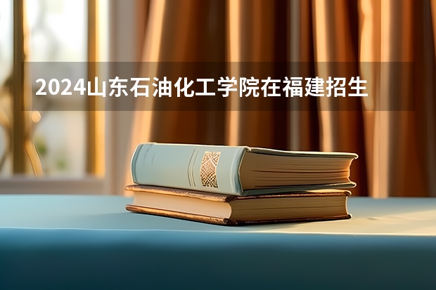 2024山东石油化工学院在福建招生计划