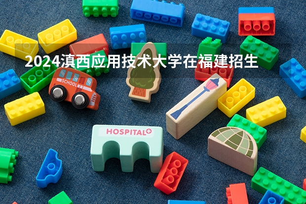 2024滇西应用技术大学在福建招生计划
