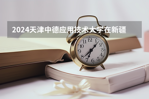 2024天津中德应用技术大学在新疆招生计划