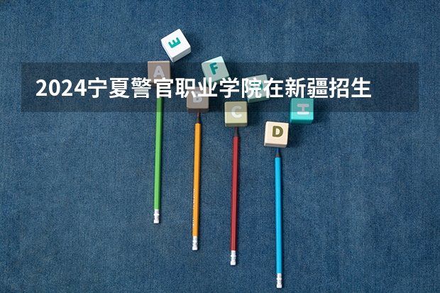 2024宁夏警官职业学院在新疆招生计划