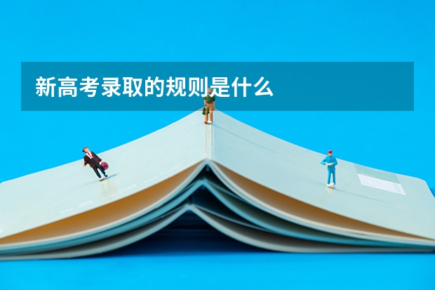 新高考录取的规则是什么