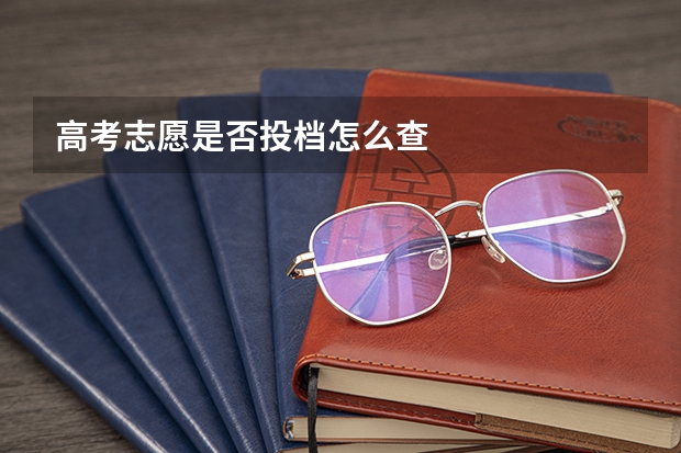 高考志愿是否投档怎么查