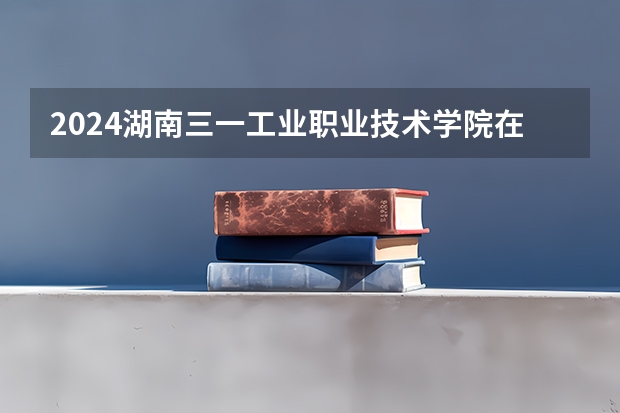 2024湖南三一工业职业技术学院在浙江招生计划