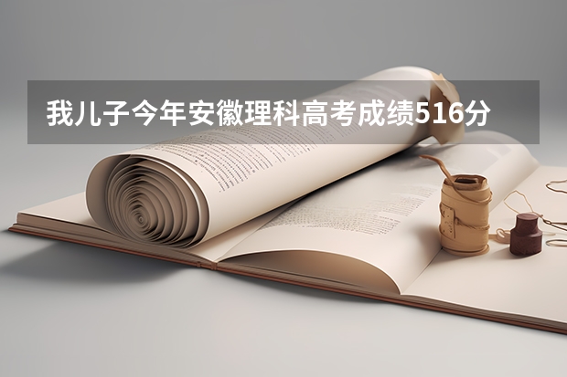 我儿子今年安徽理科高考成绩516分，高一本线27分，想在电力、药学、会计等方面选择学校（我是安徽的考生，怎样填报高考志愿）