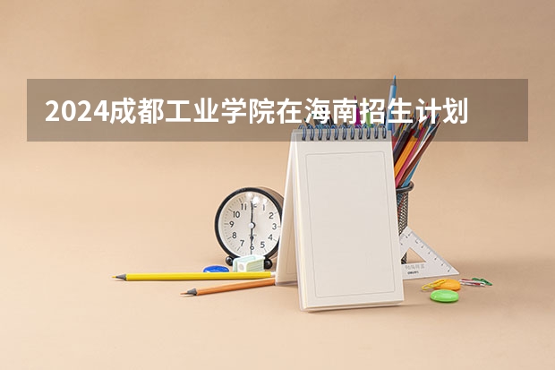 2024成都工业学院在海南招生计划