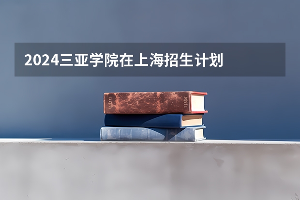 2024三亚学院在上海招生计划