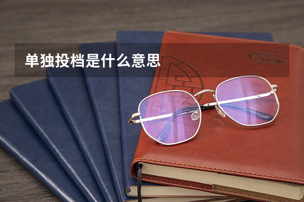单独投档是什么意思