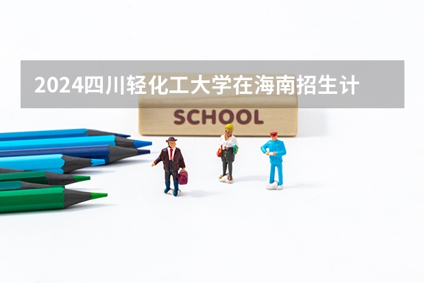 2024四川轻化工大学在海南招生计划