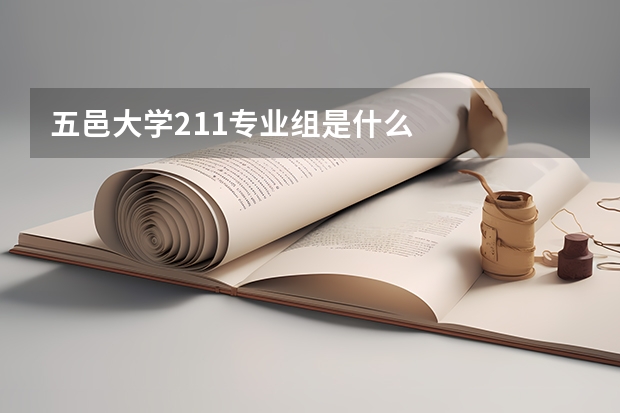 五邑大学211专业组是什么