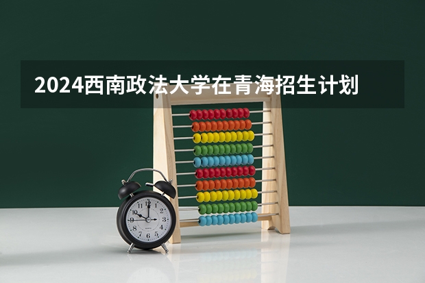 2024西南政法大学在青海招生计划