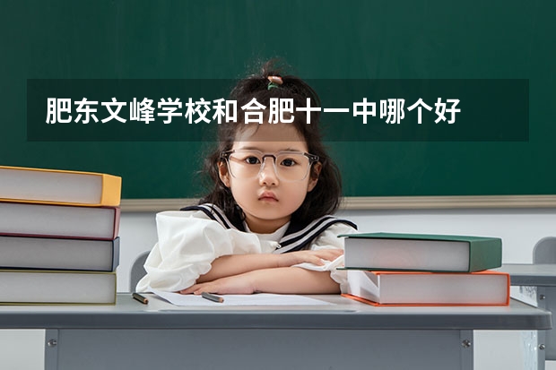 肥东文峰学校和合肥十一中哪个好
