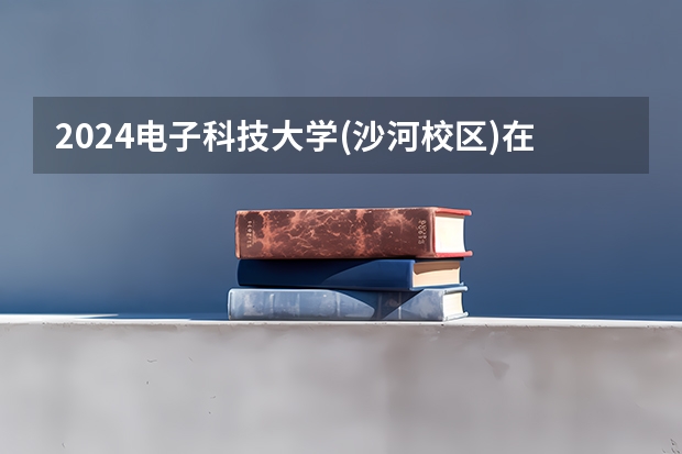 2024电子科技大学(沙河校区)在北京招生计划