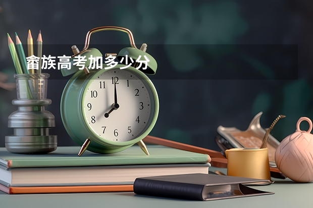畲族高考加多少分