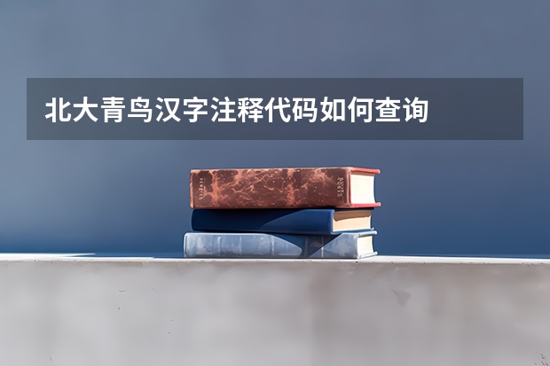 北大青鸟汉字注释代码如何查询